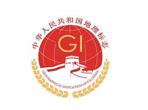 地标赋能：中国好品牌的出海新动力
